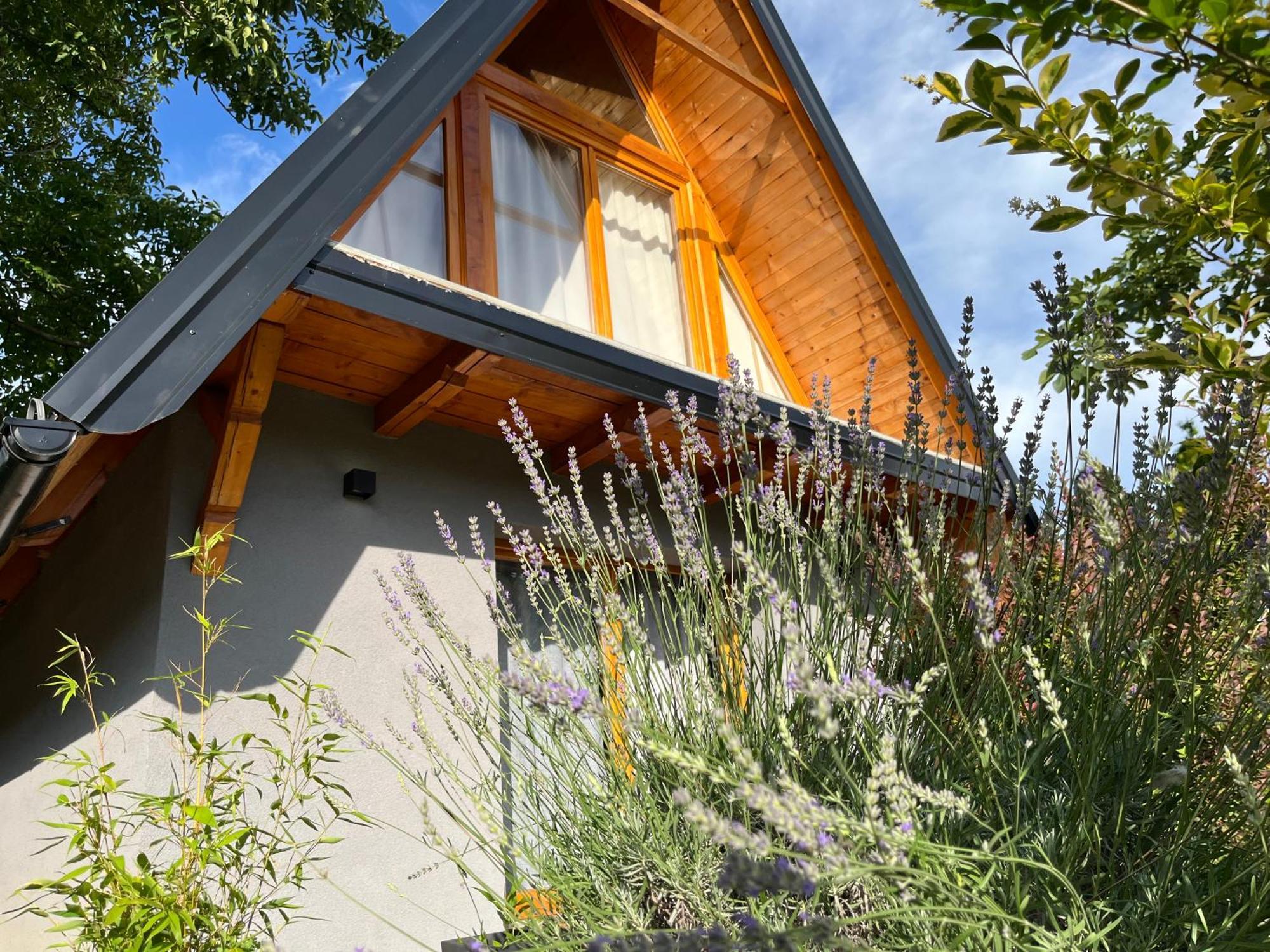 Petrovaradin Chalet نوفي ساد المظهر الخارجي الصورة